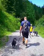 RUDY, Hund, Mischlingshund in Dürrlauingen - Bild 6