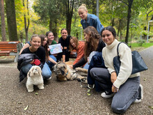 BONNIE, Hund, Mischlingshund in Rumänien - Bild 14