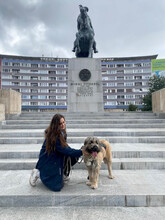 BONNIE, Hund, Mischlingshund in Rumänien - Bild 18