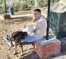 LUO, Hund, Herdenschutzhund-Mix in Spanien - Bild 2