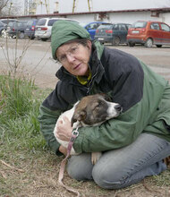 TAO, Hund, Mischlingshund in Bulgarien - Bild 9