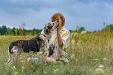 HALINKA, Hund, Mischlingshund in Polen - Bild 5