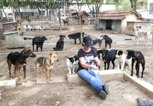 ZAMARA, Hund, Jack Russell Terrier-Mix in Bulgarien - Bild 5