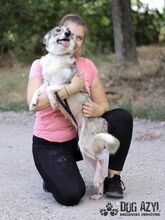 TAFFY, Hund, Mischlingshund in Slowakische Republik - Bild 11