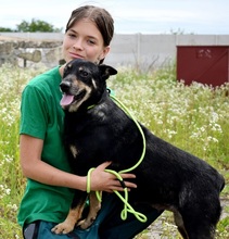 JELLA, Hund, Mischlingshund in Slowakische Republik - Bild 5