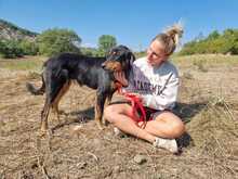 KIRA, Hund, Mischlingshund in Griechenland - Bild 10