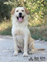 HENRIK, Hund, Mischlingshund in Slowakische Republik - Bild 13