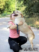 HENRIK, Hund, Mischlingshund in Slowakische Republik - Bild 15