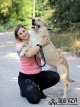 HENRIK, Hund, Mischlingshund in Slowakische Republik - Bild 16