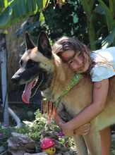 JECKY, Hund, Malinois in Bulgarien - Bild 5