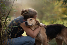 MARISSA, Hund, Mischlingshund in Kroatien - Bild 3