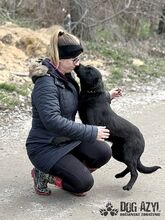 SASKIA, Hund, Mischlingshund in Slowakische Republik - Bild 18