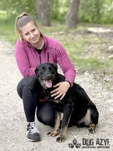 RODNEY, Hund, Mischlingshund in Slowakische Republik - Bild 19