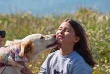 IRIS, Hund, Labrador-Mix in Griechenland - Bild 6