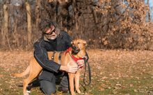 FINJA, Hund, Mischlingshund in Spardorf - Bild 2