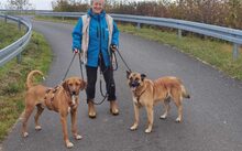 ESTEFANIA, Hund, Mischlingshund in Wegberg - Bild 4