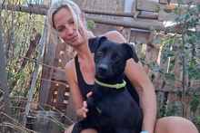 BLACK, Hund, Pinscher-Mix in Salzkotten - Bild 17