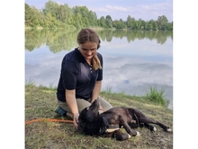 CIPRIAN, Hund, Mischlingshund in Goslar - Bild 12