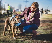 MUSKAT, Hund, Mischlingshund in Bulgarien - Bild 2