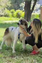 OZORA, Hund, Herdenschutzhund in Wurzen - Bild 4