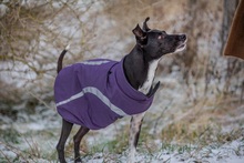 KIRA, Hund, Mischlingshund in Bahrdorf - Bild 10