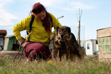 LEVY, Hund, Mischlingshund in Bulgarien - Bild 3