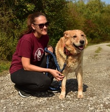 TEDY, Hund, Mischlingshund in Slowakische Republik - Bild 5