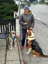 IRIS, Hund, Mischlingshund in Vaterstetten - Bild 4