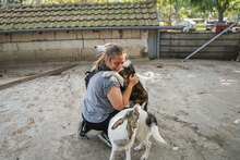 TOKKI, Hund, Mischlingshund in Bulgarien - Bild 14