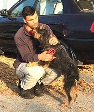 ELEONORA, Hund, Griffon-Mix in Nauheim - Bild 1