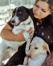 CINNIE, Hund, Mischlingshund in Wallerstein - Bild 19