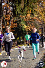 LUCAS, Hund, Mischlingshund in Rumänien - Bild 19