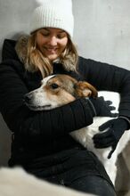 PUGNA, Hund, Mischlingshund in Baesweiler - Bild 11