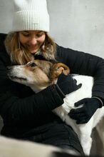 PUGNA, Hund, Mischlingshund in Baesweiler - Bild 13