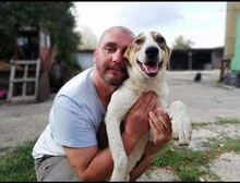 PUGNA, Hund, Mischlingshund in Baesweiler - Bild 6