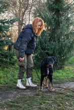 ROGER, Hund, Mischlingshund in Polen - Bild 1