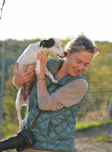 LOOMI, Hund, Bodeguero Andaluz in Spanien - Bild 4