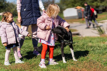 ROMEO, Hund, Mischlingshund in Bulgarien - Bild 4