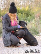 PATRICIO, Hund, Mischlingshund in Slowakische Republik - Bild 11