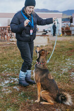 BORISA, Hund, Mischlingshund in Bulgarien - Bild 6