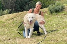 POSEIDONE, Hund, Maremmano-Mix in Italien