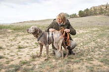 RAY, Hund, Jagdhund-Mix in Spanien - Bild 10