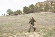 RAY, Hund, Jagdhund-Mix in Spanien - Bild 11