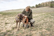 RAY, Hund, Jagdhund-Mix in Spanien - Bild 13