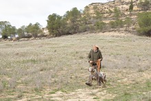 RAY, Hund, Jagdhund-Mix in Spanien - Bild 3