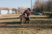 SNICKERS, Hund, Mischlingshund in Bulgarien - Bild 5