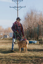 SNICKERS, Hund, Mischlingshund in Bulgarien - Bild 7