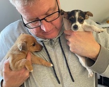 DORA, Hund, Mischlingshund in Großenbrode - Bild 12
