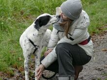 SABELE, Hund, Mischlingshund in Xanten - Bild 8