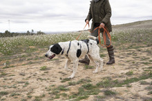 MARA, Hund, Herdenschutzhund-Mix in Spanien - Bild 3